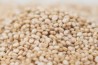 quinoa white organic 1kg